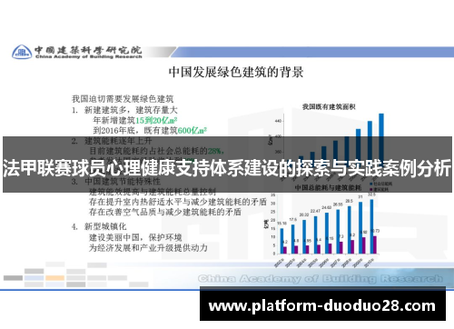 法甲联赛球员心理健康支持体系建设的探索与实践案例分析