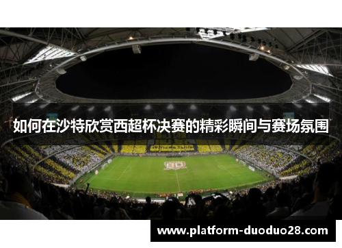 如何在沙特欣赏西超杯决赛的精彩瞬间与赛场氛围
