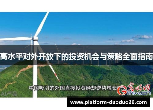 高水平对外开放下的投资机会与策略全面指南
