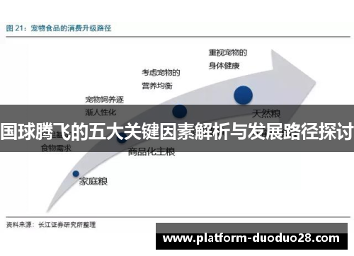 国球腾飞的五大关键因素解析与发展路径探讨