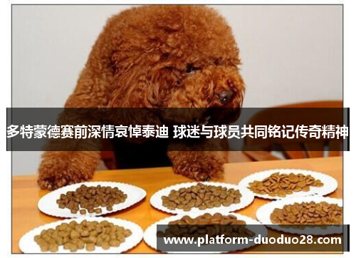 多特蒙德赛前深情哀悼泰迪 球迷与球员共同铭记传奇精神