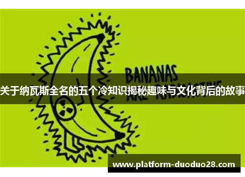 关于纳瓦斯全名的五个冷知识揭秘趣味与文化背后的故事